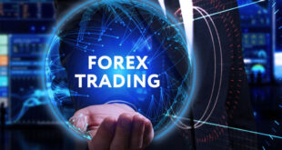 Tips dan Strategi Sukses Trading Forex